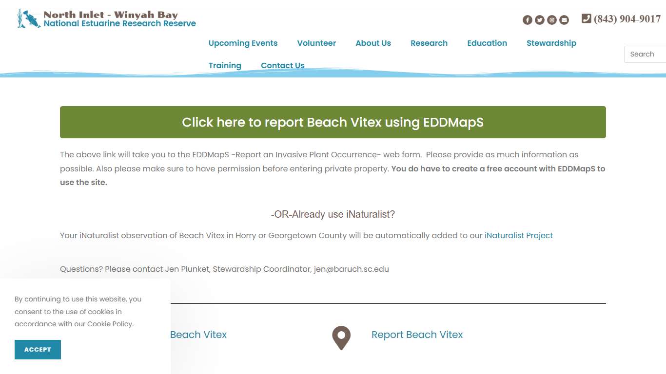 Beach Vitex – North Inlet-Winyah Bay