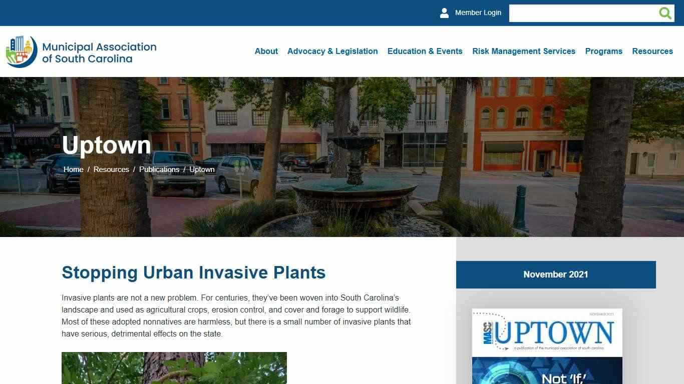 Stopping Urban Invasive Plants | MASC