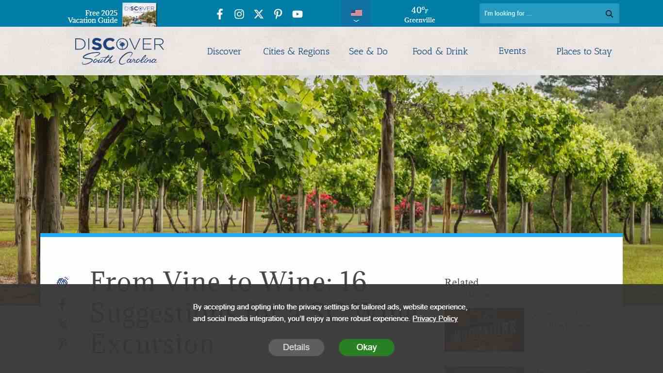 From Vine to Wine: 16 Suggestions for a SC Wine Excursion