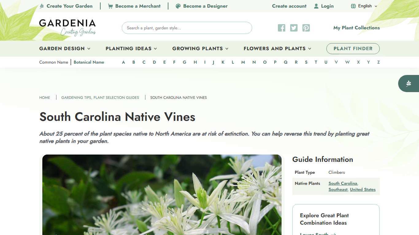 South Carolina Native Vines - Color, Cover, Wildlife
