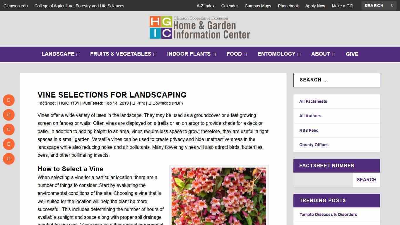 Vine Selections for Landscaping | Home & Garden Information Center